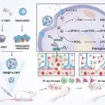 Chem. Eng. J. | 基于中性粒细胞膜的仿生金属-多酚自组装纳米酶靶向治疗蛛网膜下腔出血后早期脑损伤