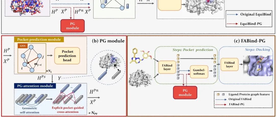 复旦大学王满宁团队提出PGBind模型，通过基于口袋引导的显性注意力机制预测蛋白质-配体对接