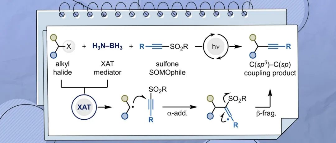 德国亚琛工业大学Chem. Sci.：利用硼自由基介导的卤原子转移实现烷基卤的炔基化