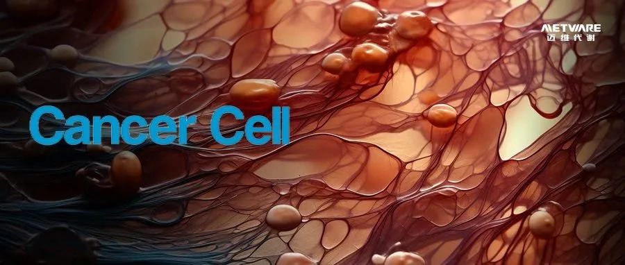 Cancer Cell | 北大张泽民院士团队最新研究助力开发癌症新疗法