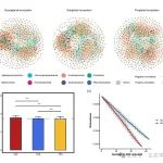 青藏高原所博士生一作在《Communications Earth & Environment》上发表最新成果！