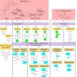 Chem. Rev.：单糖和相关糖醇电催化氧化的电化学和非电化学路径