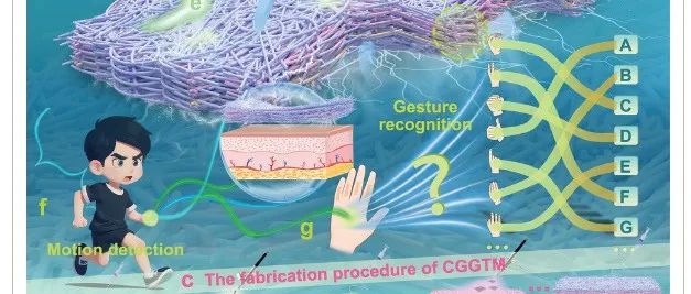 郑州大学《AFM》：受珍珠层启发，基于碳纳米管/石墨烯/TPU毡的多层柔性传感器，用于机器学习辅助手势识别