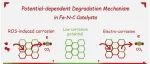 中科院长春应化所刑巍团队：揭示用于氧还原反应Fe-N-C 催化剂随电位变化降解机制