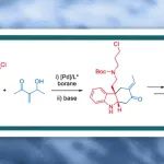 Org. Lett.：通过对映选择性Pd催化烯丙基取代策略全合成(&#8722;)-Aspidospermidine