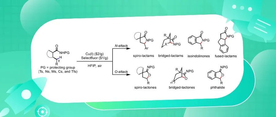 余金权团队最新Angew：铜催化γ-C(sp3)-H键的内酰胺化和亚氨基内酯化反应