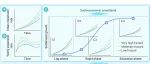 The Innovation Geoscience | 全球洪泛区城市化：现状与挑战