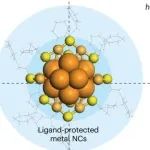 研究前沿：天津大学/NUS谢建平-金属纳米团簇 | Nature Reviews Materials