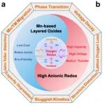 周冬，栗永利，王军等Angew.：晶面调控增强钠离子电池锰基层状氧化物可逆氧活性与反应动力学