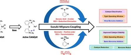 Suzuki Coupling: What a Difference a Base Makes