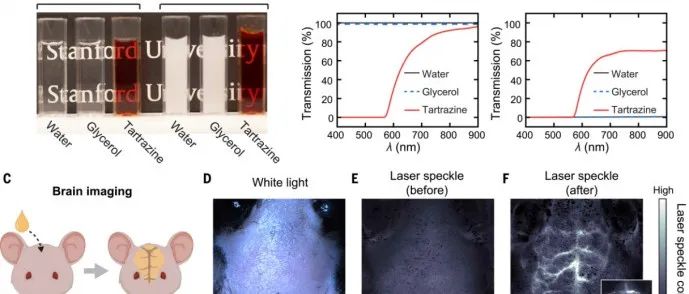 文献分享 | Science | 强吸收分子实现活体动物的光学透明