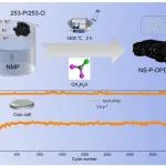 太原理工《ACS AMI》：沥青衍生的二维碳纳米片，用于高性能钠离子电池