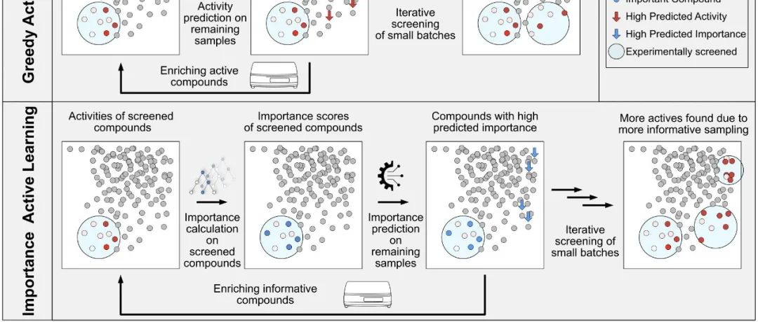 JCIM｜机器学习驱动的数据估值：优化高通量筛选流程的前沿探索