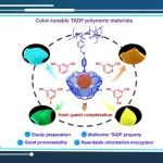 化学所陈传峰、韩莹和国科大吕海燕CCS Chem：通过主客体作用构建颜色可调的TADF聚合物材料并实现其在可擦写信息加密中的应用