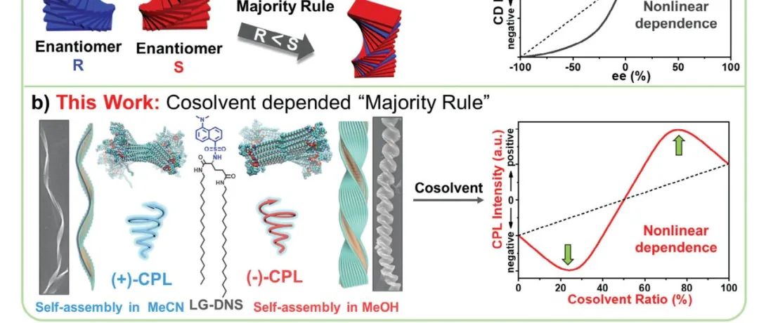 Small｜对映丹磺酰胺组装体的非手性溶剂反转螺旋路径及共溶剂控制的激发态“多数规则”