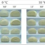 发酵|揭示预发酵度和贮藏温度波动对冷冻馒头面团质量的影响机理