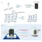 中国科大刘波教授团队 Nat. Commun.：基于弹性聚合物共价有机框架（PP–PEG）的高效太阳能蒸汽蒸发器