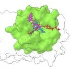 arXiv｜中国科学技术大学刘淇/北京大学裴剑锋团队：两段式分子对接统一框架DeltaDock