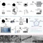 北京科技大学《Small》：低成本石油焦加工成Fe3C@CNT催化剂，用于高效HER