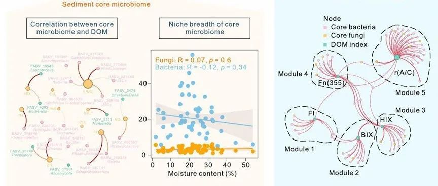 洞穴生态系统中微生物对于外源有机质输入的差异响应