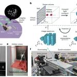 研究前沿：中国科学技术大学徐飞虎/潘建伟团队非视距成像 | Nature Computational Science