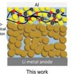 清华深研院刘思捷/港科大Kristiaan Neyts最新AEM：硫化物/聚合物复合固态电解质助力高比能全固态锂离子电池发展