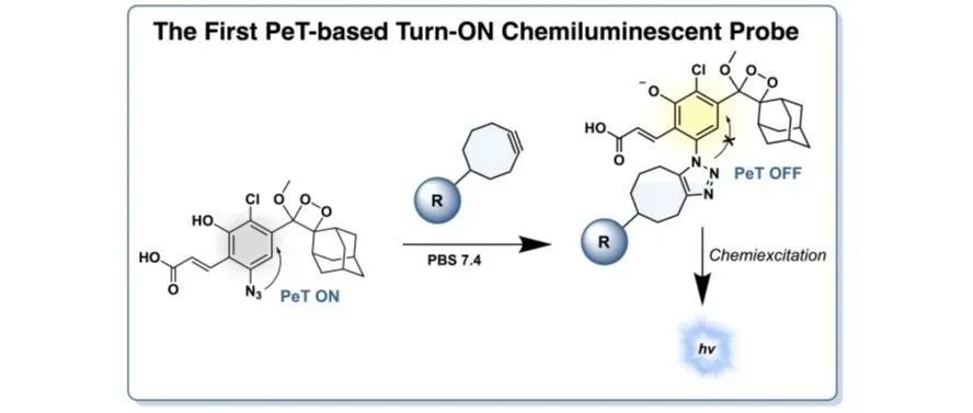 文献分享| Angew. Chem. Int. Ed.：前所未有的光诱导电子转移探针，具有Turn-ON化学发光作用模式
