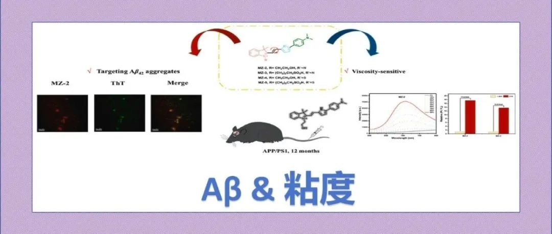 文献分享|一种用于Aβ聚集实时成像的新型粘度敏感半氰胺荧光染料