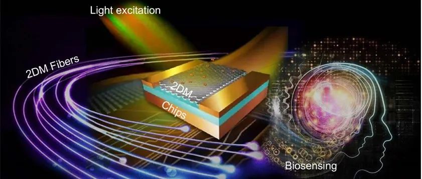 上海交通大学李泽晖课题组AFM：物理光激发二维材料的环境传感研究