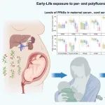 EEH专栏｜复旦大学张蕴晖团队：全氟和多氟烷基物质的母婴暴露及健康风险研究