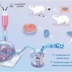 AFM：高保真有序微孔生物水凝胶的晶体转导3D打印