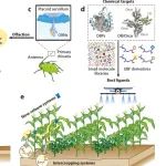 文献解读｜中国农业科学院植物保护研究所系统综述化学信号(E)-β-法尼烯在三级营养级互作中的调控机制