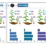 西北农林科技大学草叶学院一区TOP期刊发文在玉米苜蓿间作中添加生物炭研究水分利用方面取得新进展