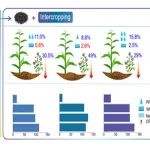 西北农林科技大学草业学院在一区TOP期刊发文在玉米苜蓿间作中添加生物炭研究水分利用方面取得新进展