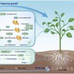河南大学青年教师在英国生态学会旗舰期刊Journal of Ecology最新成果！