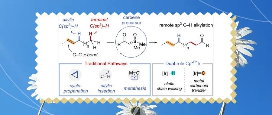 韩国科学技术院Sukbok Chang课题组JACS：通过烯烃链行走上的接力类卡宾转移实现远端催化C(sp3)&#8722;H烷基化反应