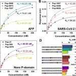 清华大学环境学院周小红课题组ACS Central Science：靶向蛋白质的高亲和力肽虚拟筛选领域研究新进展