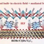 广西大学资源环境与能源材料团队CEJ：构建碳量子点电子桥实现内建电场强化和肖特基势垒调节