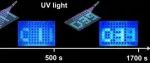 东北师大《AFM》：格点化全息隐写阵列实现时空双重秘钥信息加密