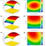 基于多组学连锁技术的合成微生物群落构建及木质纤维素降解机理分析