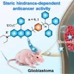 JACS：血脑屏障穿透性荧光抗癌制剂可引发副凋亡和铁死亡以用于胶质母细胞瘤治疗