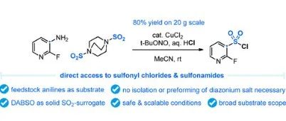 Sandmeyer Chlorosulfonylation of (Hetero)Aromatic Amines