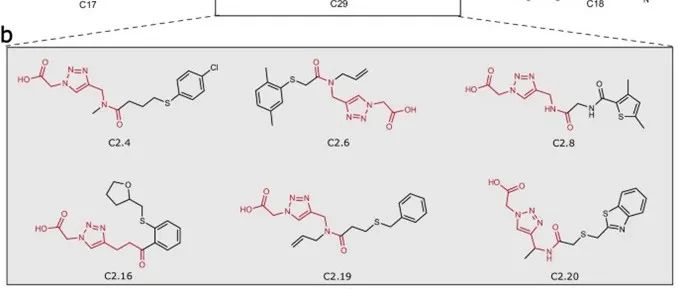 Nat Commun｜用于药物发现的人工智能加速虚拟筛选平台