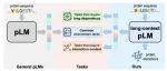 bioRxiv｜突破蛋白语言模型的上下文限制：基于Bi-Mamba和PPI图的LC-PLM蛋白大模型