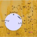 山东大学典龙阳课题组Green Chem.：突破经典Sandmeyer反应，三步变一步，实现光介导直接脱硝基氯化反应