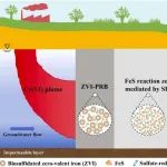 吉林大学赵勇胜团队JHM：“零价铁PRB-生物FeS还原反应带”修复模式