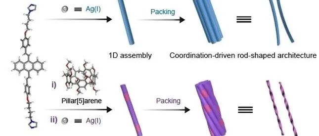 Angew. Chem. Int. Ed丨主客体相互作用和金属配位驱动的纳米螺旋自组装