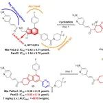 APSB | 上海交大药学院张翱团队和上海药物所谢华团队合作发现新型PAK4抑制剂