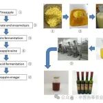 中国热科院揭示醋酸发酵对菠萝营养成分、口感和香气的影响