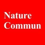 2400h，类变色龙设计锌空气电池！南科大/清华，最新Nature子刊！